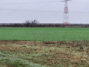 Vand teren agricol extravilan în Giroc  - imagine 2