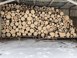 Depozit Baisa lemn de foc verde sau uscat