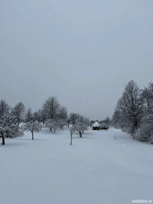 Teren întăbulat de vânzare in satul BREB MM - imagine 4