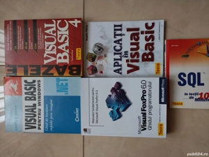 carte manual visual basic gratuit pentru IT