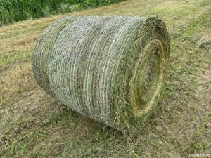 Baloți de calitate in Botosani de fan si semifan din lucerna în  agricultură ecologică sau schimb