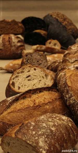 Brutarie Artizanala cautam doamna sa ne ajute la curatenie  - imagine 5