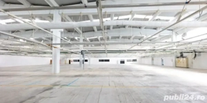 hala de vanzare calea sagului 