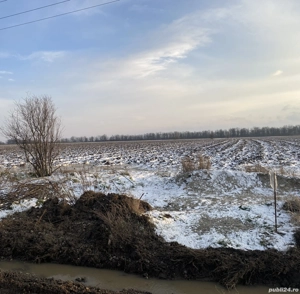 Teren comuna Bucovat sat carligei