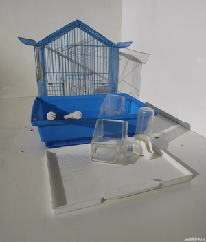 Colivie peruși și păsări de apartament  - imagine 3