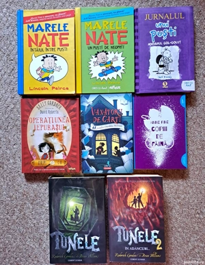 carti copii lot carti cartonate copii editura Artur 