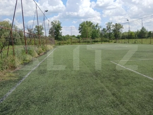 Casa superba in Tinca, 225 mp, 20 ari luciu de apa, teren fotbal, spatii verzi - imagine 6