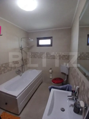 Casa superba in Tinca, 225 mp, 20 ari luciu de apa, teren fotbal, spatii verzi - imagine 12