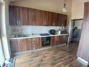 Casa superba in Tinca, 225 mp, 20 ari luciu de apa, teren fotbal, spatii verzi - imagine 10