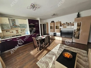 Apartament 3 camere 66 mp utili mobilat si utilat zona Doamna Stanca - imagine 2