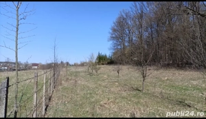 Teren Harsa 4466 mp - imagine 3