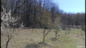 Teren Harsa 4466 mp - imagine 2