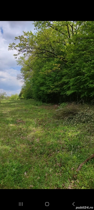 Teren Harsa 4466 mp - imagine 7