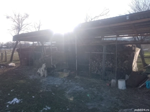 casa cu anexe Telesti  - imagine 5