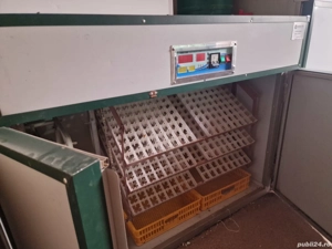 Incubator profesional  528 sau 1056 oua
