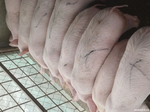 De Vanzare - imagine 5