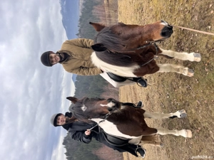 Angajăm personal curățenie apartamente regim hotelier 