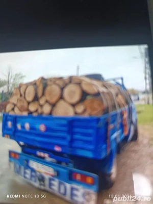 vand lemne de foc