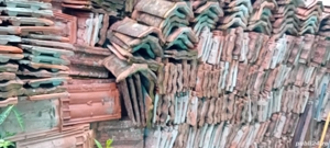 Țiglă Ceramica Jimbolia Leu model 266