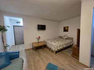 Garsonieră modernă, 35 mp, renovată integral   Deva, str Crizantemelor - imagine 4
