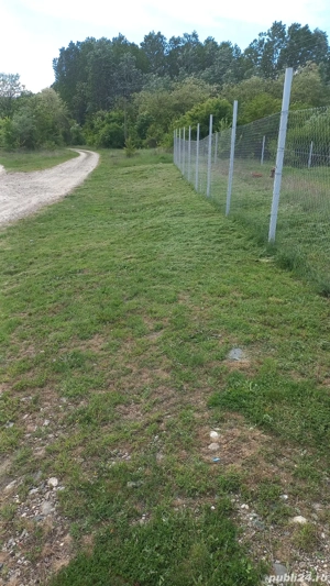 Închiriez teren extravilan   Comuna Turcinești, Aleea Poligonului  - imagine 3