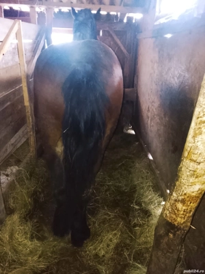 Schimb sau vând  - imagine 4