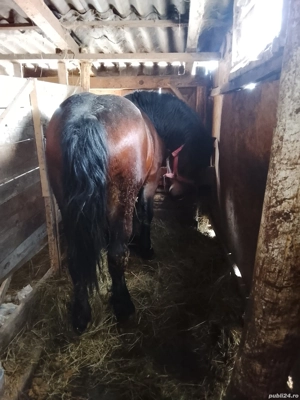 Schimb sau vând  - imagine 2