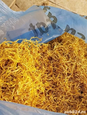 tutun firicel ieftin la oferta premium extrafin de calitate de fabrica la oferta