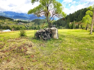 Teren de vis în Fundata 1934mp sau 3868mp, la înălțimea sufletului tău - imagine 2