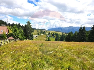 Teren de vis în Fundata 1934mp sau 3868mp, la înălțimea sufletului tău - imagine 3