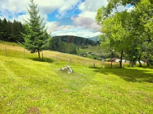 Teren de vis în Fundata 1934mp sau 3868mp, la înălțimea sufletului tău - imagine 18