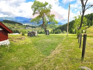 Teren de vis în Fundata 1934mp sau 3868mp, la înălțimea sufletului tău - imagine 10