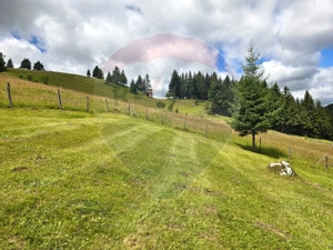 Teren de vis în Fundata 1934mp sau 3868mp, la înălțimea sufletului tău - imagine 13