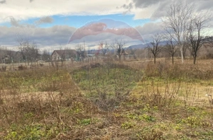 Comision 0! Casa din inima Subcarpaților — comuna Cislau, teren 5000mp - imagine 14