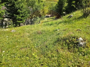 Teren de vis în Fundata 1934mp sau 3868mp, la înălțimea sufletului tău - imagine 5