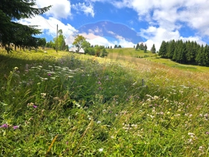 Teren de vis în Fundata 1934mp sau 3868mp, la înălțimea sufletului tău - imagine 17