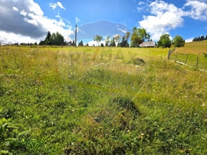 Teren de vis în Fundata 1934mp sau 3868mp, la înălțimea sufletului tău - imagine 11