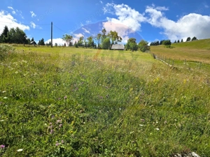 Teren de vis în Fundata 1934mp sau 3868mp, la înălțimea sufletului tău - imagine 8