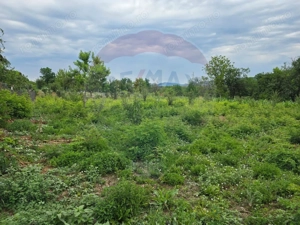 Comision 0! Casa din inima Subcarpaților — comuna Cislau, teren 5000mp - imagine 20