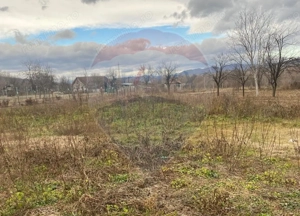 Comision 0! Casa din inima Subcarpaților — comuna Cislau, teren 5000mp - imagine 15