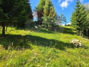 Teren de vis în Fundata 1934mp sau 3868mp, la înălțimea sufletului tău - imagine 6