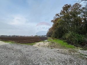 Teren 2,000mp Ciolpani / DN Izvorani - imagine 2