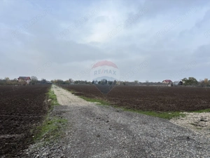 Teren 2,000mp Ciolpani / DN Izvorani - imagine 3