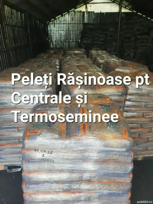 Peleti Rasinoase import Ucraina pt centrale și termoseminee