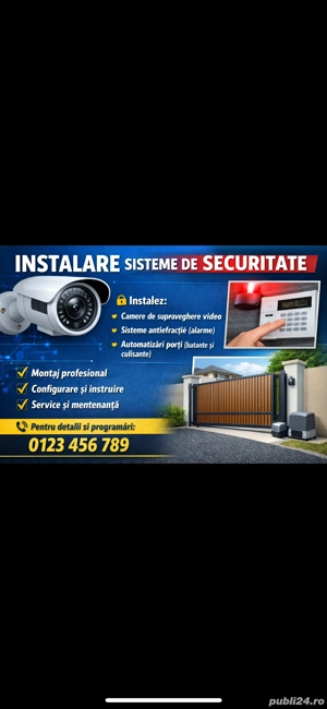 Servicii profesionale sisteme de securitate