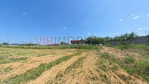 Racari - Teren - 13659 mp - intravilan - constructii - imagine 2