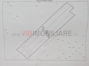 Racari - Teren - 13659 mp - intravilan - constructii - imagine 4