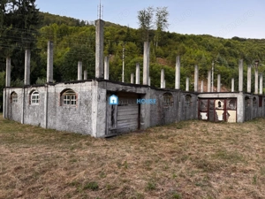 Oportunitate de investitie Cabana Cartisoara Zona Turistica - imagine 17