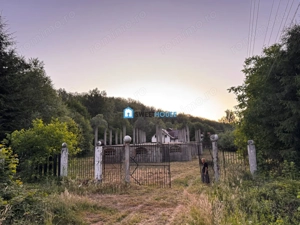 Oportunitate de investitie Cabana Cartisoara Zona Turistica - imagine 18