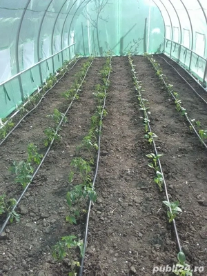 -11% 5x6 m Solar de gradina 30 mp, teava galvanizata